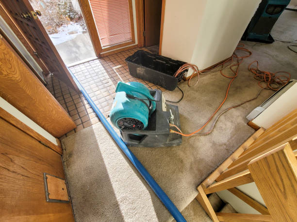 Best Water damage restoration near me  in Pflugerville, TX