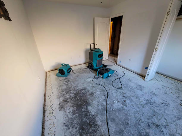 Best Water damage mitigation services  in Pflugerville, TX