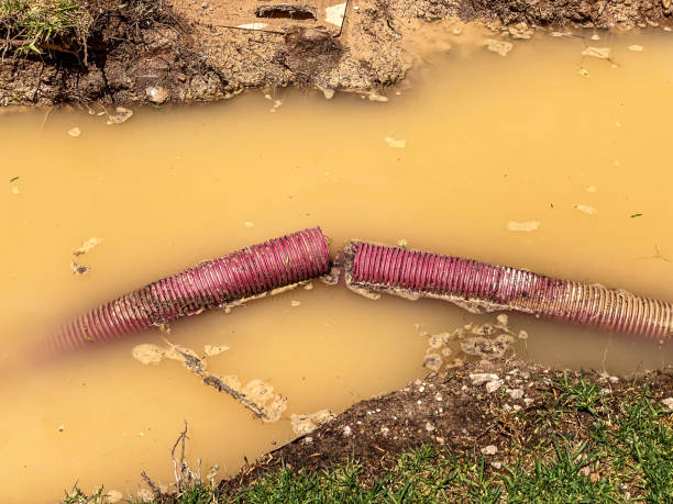 Best 24-hour water damage restoration  in Pflugerville, TX