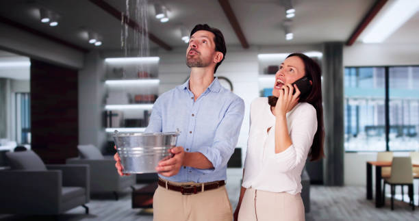 Best Water damage contractors near me  in Pflugerville, TX