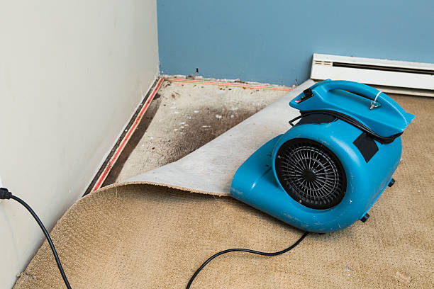Best Water damage restoration services  in Pflugerville, TX